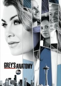 Анатомия страсти / Анатомия Грей (2005-2024) Grey's Anatomy