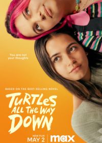 Черепахи – и нет им конца (2024) Turtles All the Way Down