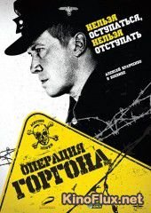 Операция «Горгона» (2011)