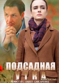 Подсадная утка (2016)