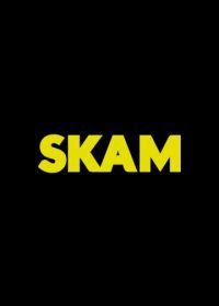Стыд (2015-2017) Skam