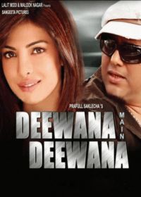 Безумие любви (2013) Deewana Main Deewana