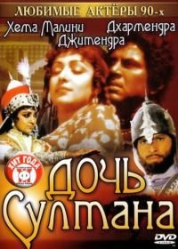 Дочь султана (1983) Razia Sultan