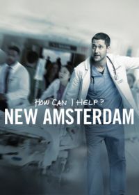 Новый Амстердам (2018-2023) New Amsterdam