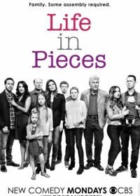 Жизнь в деталях (2015-2019) Life in Pieces