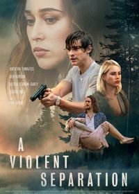 Насильственное разделение (2019) A Violent Separation