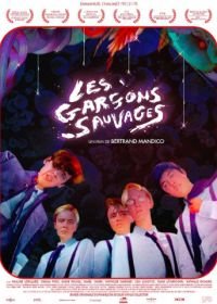 Дикие мальчишки (2017) Les garçons sauvages