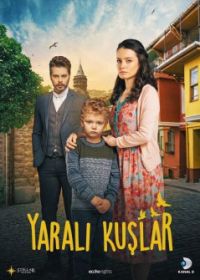 Раненые птицы (2019) Yarali Kuslar