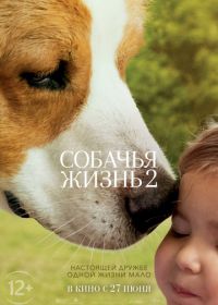 Собачья жизнь 2 (2019) A Dog's Journey