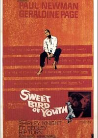 Сладкоголосая птица юности (1962) Sweet Bird of Youth
