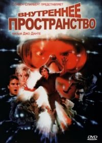 Внутреннее пространство (1987) Innerspace