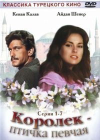 Королёк – птичка певчая (1986) Çalikusu