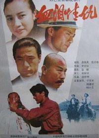 Кровь, слёзы, любовь, месть (1989) Xue lei qing chou