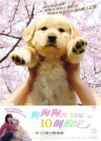 10 обещаний моей собаке (2008) Inu to watashi no 10 no yakusoku