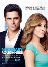 Необходимая жестокость (2011-2013) Necessary Roughness