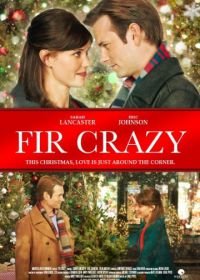 Пихтовое сумасшествие (2013) Fir Crazy