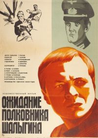 Ожидание полковника Шалыгина (1981)