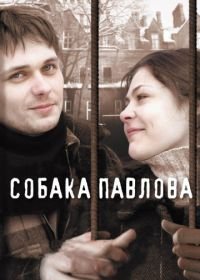 Собака Павлова (2005)