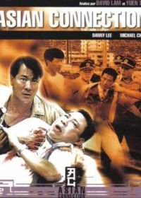 Азиатский связной (1995) Te jing ji xian feng