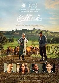 Колокольчик (2019) Bellbird