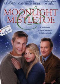Спасти сказку (2008) Moonlight & Mistletoe
