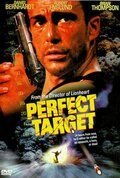 Главная мишень (1997) Perfect Target