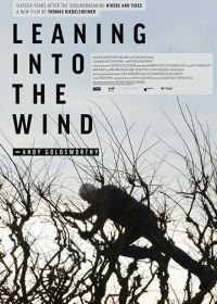 Творить вместе с ветром: Энди Голдсуорти (2017) Leaning Into the Wind: Andy Goldsworthy