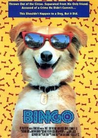 Бинго (1991) Bingo