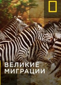 Великие миграции (2010) Great Migrations