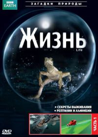 BBC: Жизнь (2009) Life