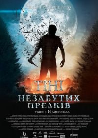 Тени незабытых предков (2013)