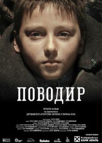 Поводырь (2013) Povodir