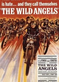 Дикие ангелы (1966) The Wild Angels