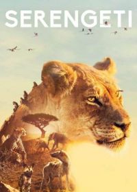 BBC: Серенгети (2019-2021) Serengeti