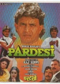Чужой (1993) Pardesi