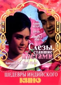 Слезы, ставшие цветами (1969) Aansoo Ban Gaye Phool