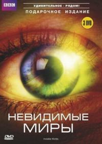 BBC: Невидимые миры (2010) Richard Hammond's Invisible Worlds