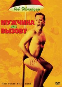 Мужчина по вызову (1999) Deuce Bigalow: Male Gigolo