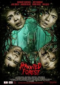 Лес призраков (2017) Haunted Forest