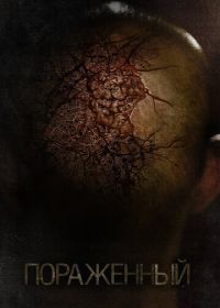 Пораженный (2013) Afflicted