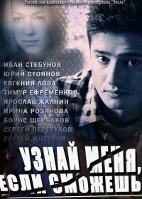 Узнай меня, если сможешь (2014)