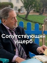 Сопутствующий ущерб (2014) Dommages collatéraux