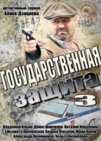 Государственная защита 3 (2013)