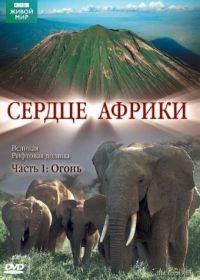 BBC: Сердце Африки (2010) The Great Rift