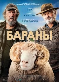 Бараны (2020) Rams