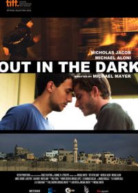 Разглядеть в темноте (2012) Out in the Dark