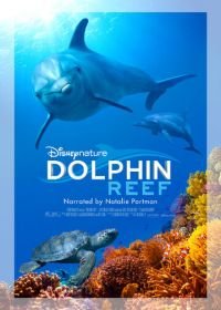 Дельфиний риф (2018) Dolphin Reef