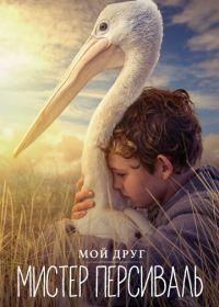 Мой друг мистер Персиваль (2019) Storm Boy