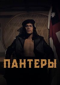 Пантеры (2021) The Panthers