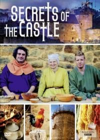 Как построить средневековый замок (2014-2015) Secrets of the Castle